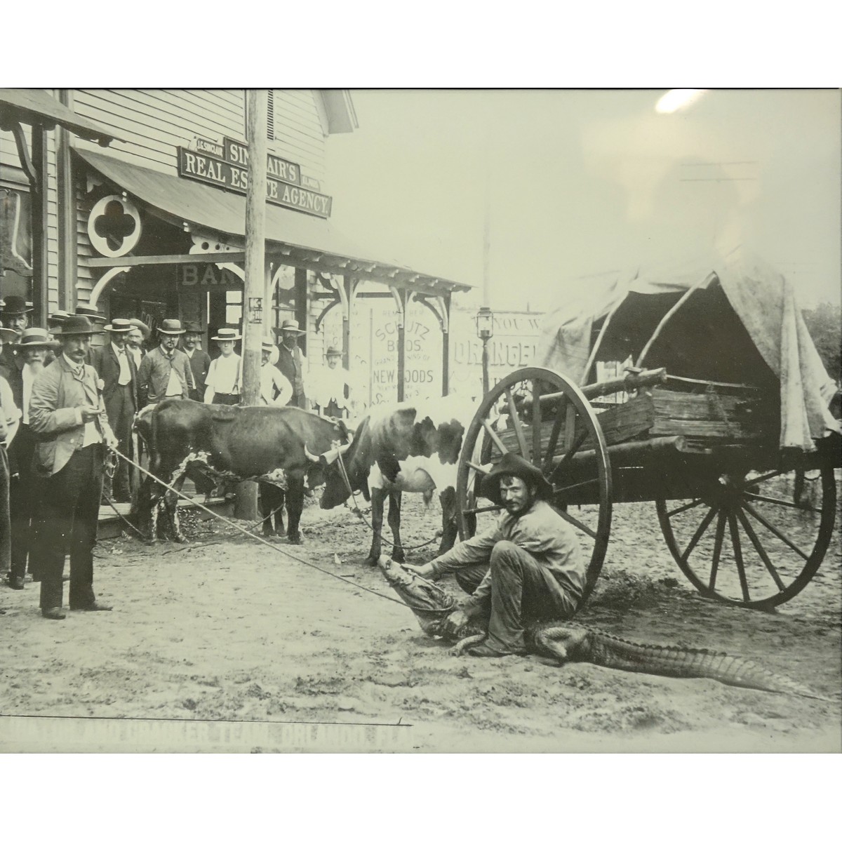 Collection Of Six (6) Vintage "Old Palm Beach" Black & White Photographic Prints. Good condition.