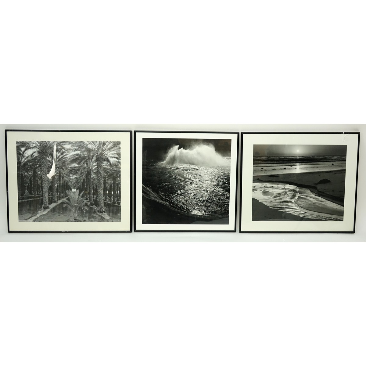 Three (3) Black & White Florida Motif Photographic Prints. 2 inscribed en verso Clyde Butcher, one unsigned.