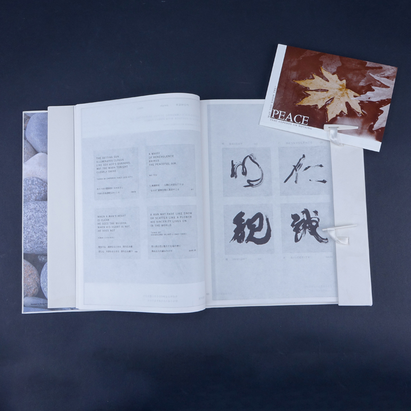 Tetsuzan Shinagawa Talk to a Stone Hardcover Book. by Mikio Shinagawa (Editor), Tetsuzan Shinagawa (Illustrator) An exquisite collection of skillfully executed script and verse, Talk to a Stone: Nothingness is a work of art in its own right.
