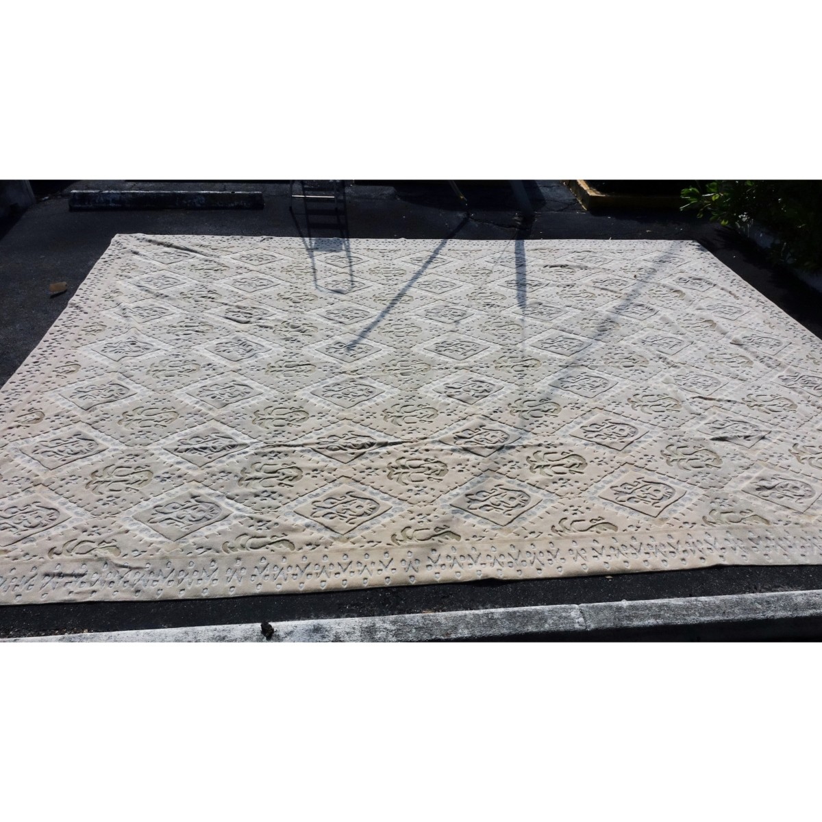 Oriental Wool Rug