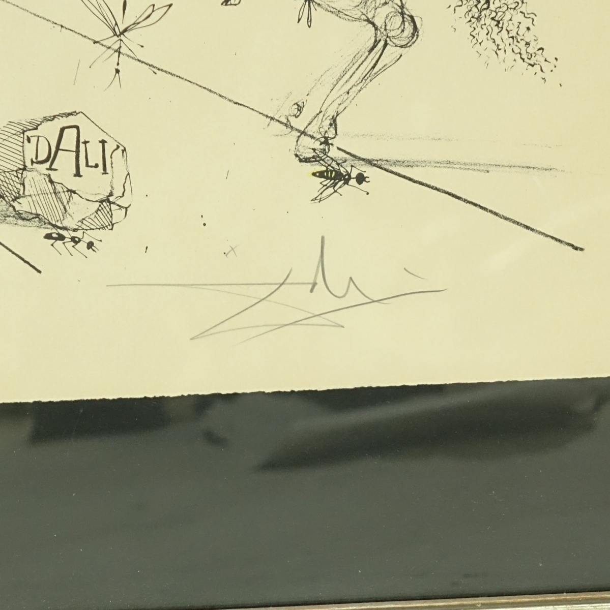 Salvador Dali Color Lithograph