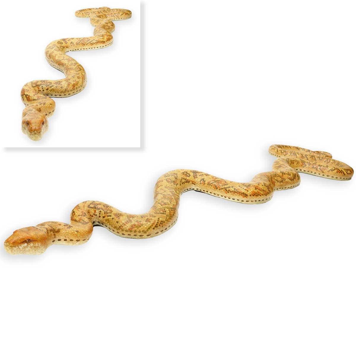 Large Composition Snake