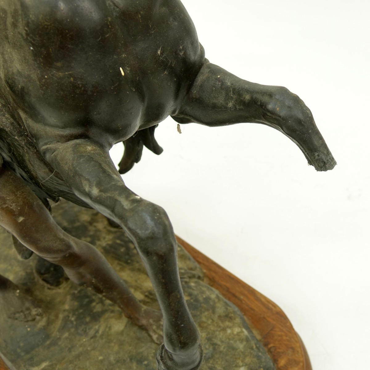 Bronze Marly Horse