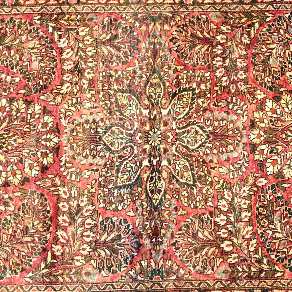 Oriental Rug