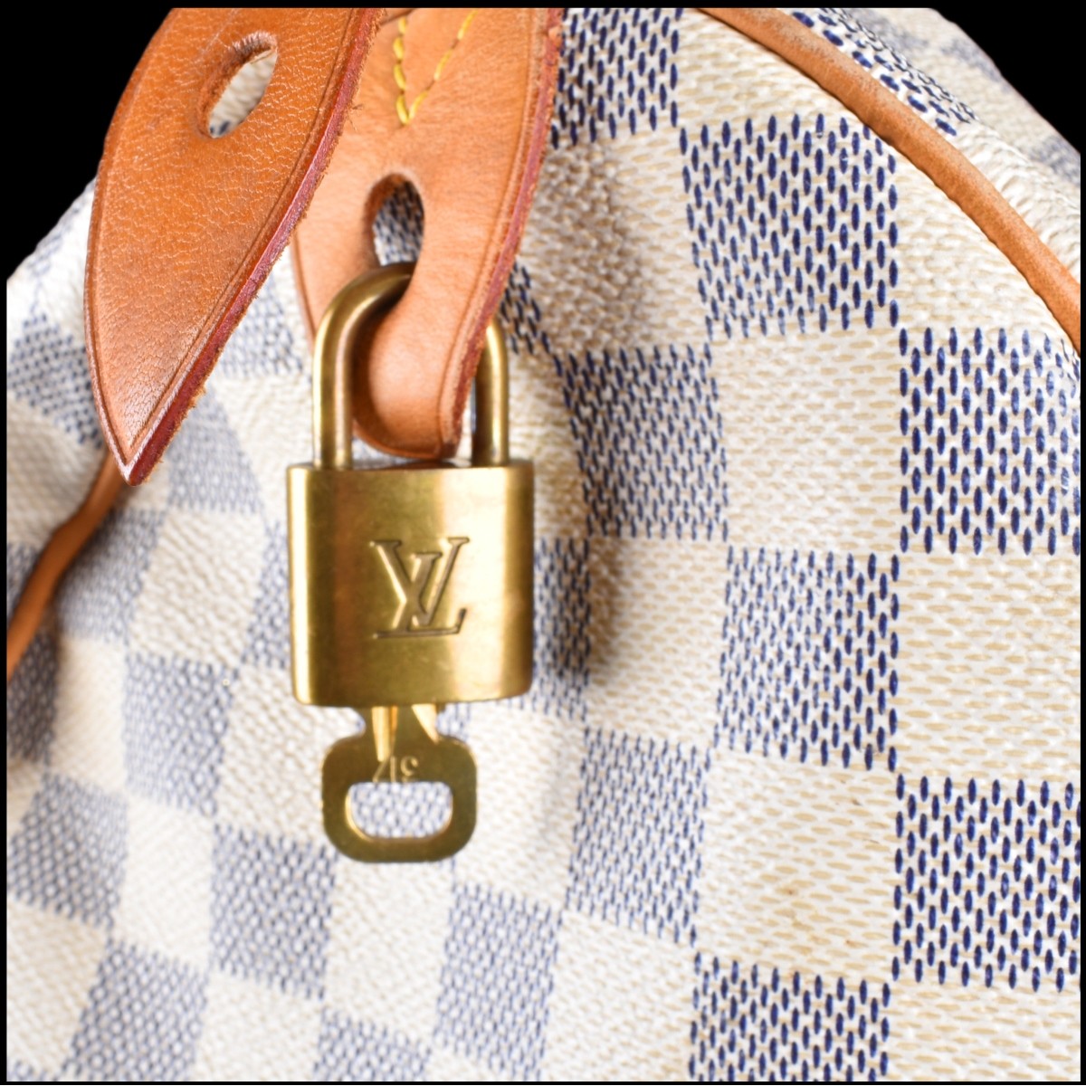 Louis Vuitton Speedy Bag