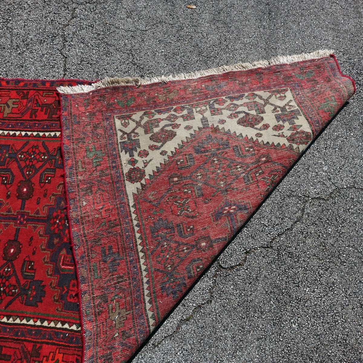 Middle Eastern Rug