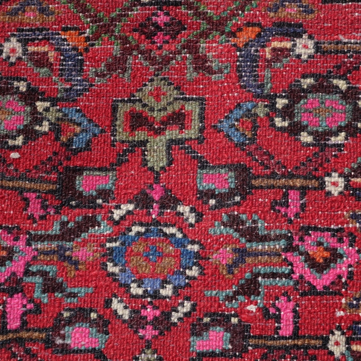 Afghan Runner