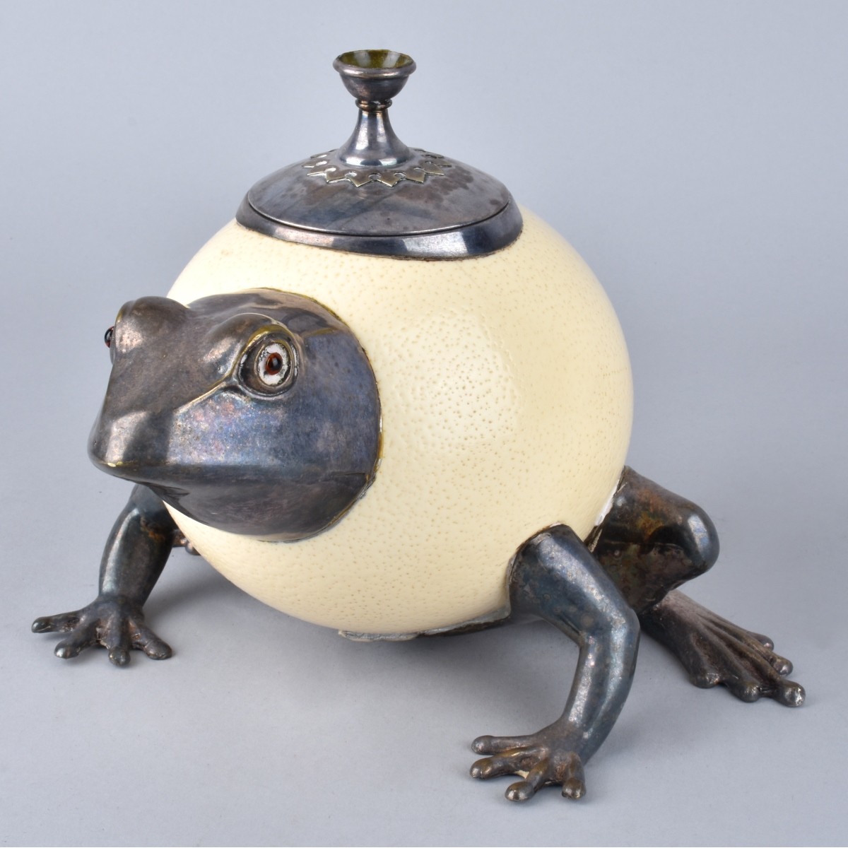 Ostrich Egg Frog