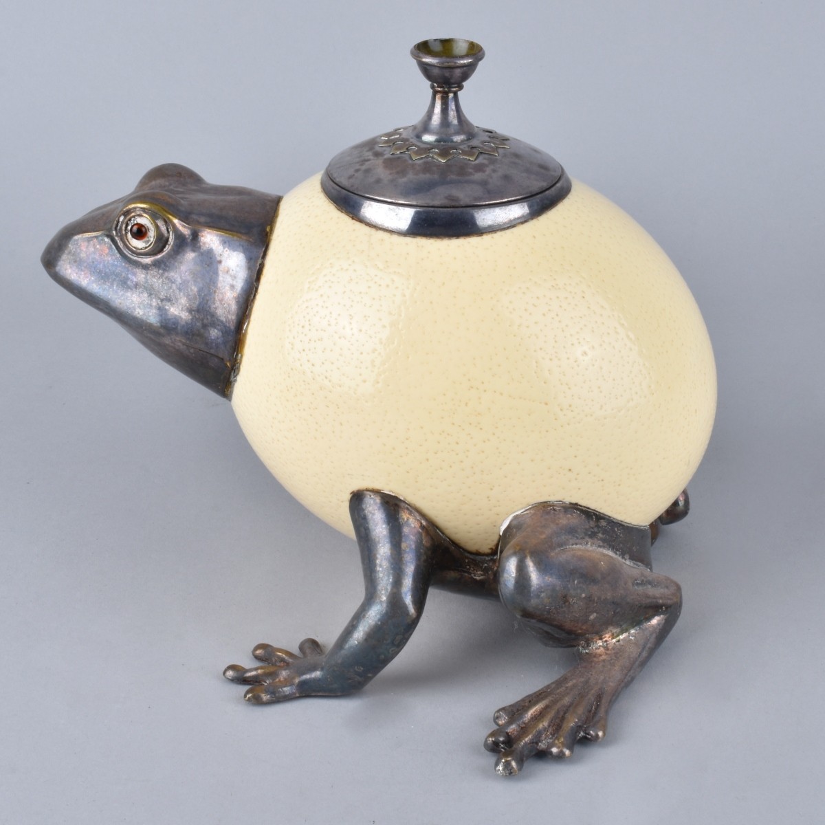 Ostrich Egg Frog