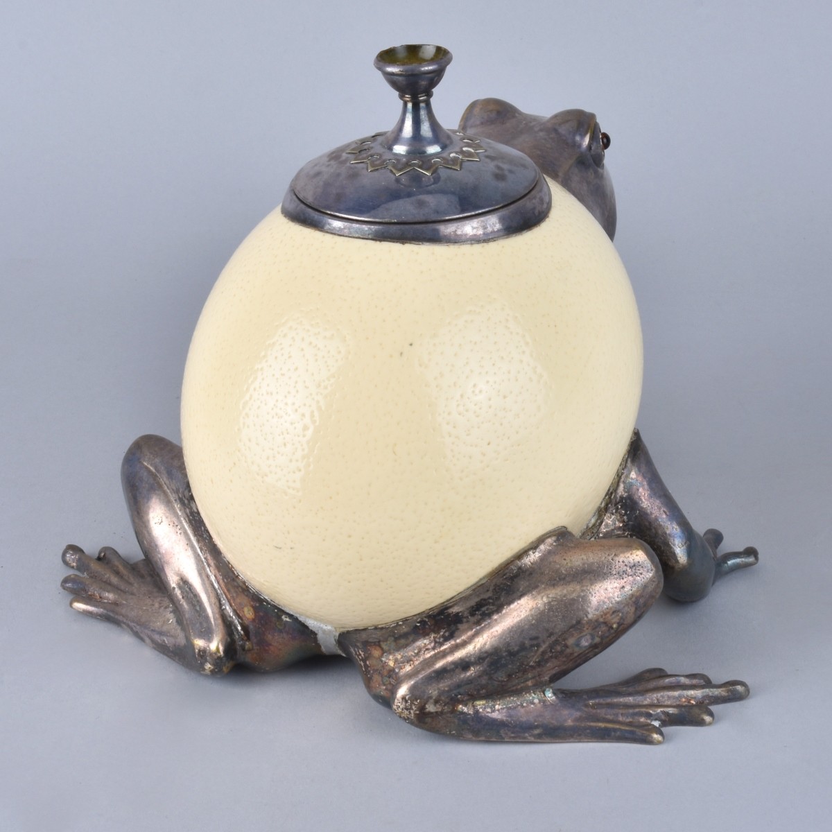 Ostrich Egg Frog