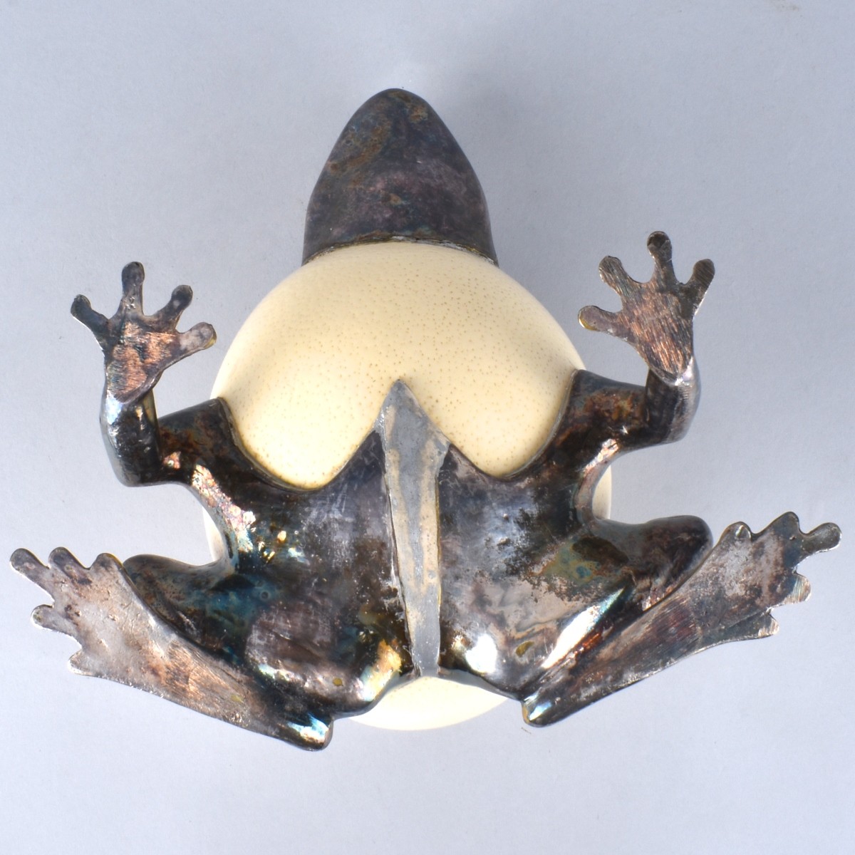 Ostrich Egg Frog