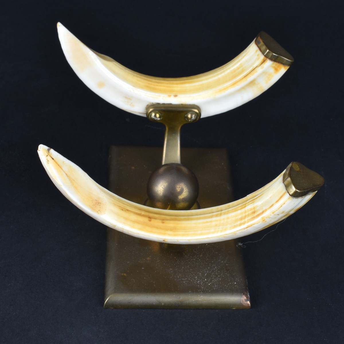 Four African Carved Ivory Tableware