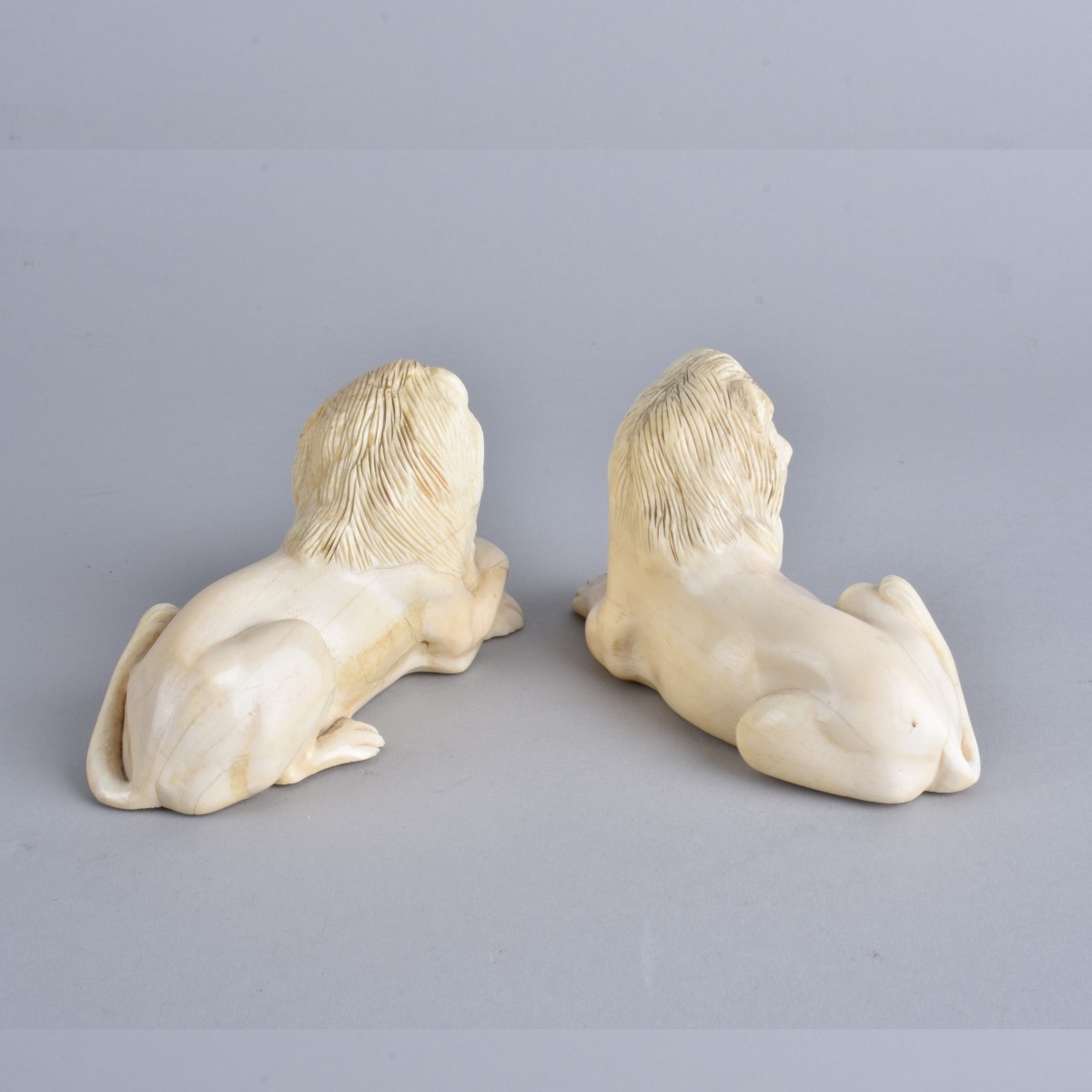 Carved Ivory Lions