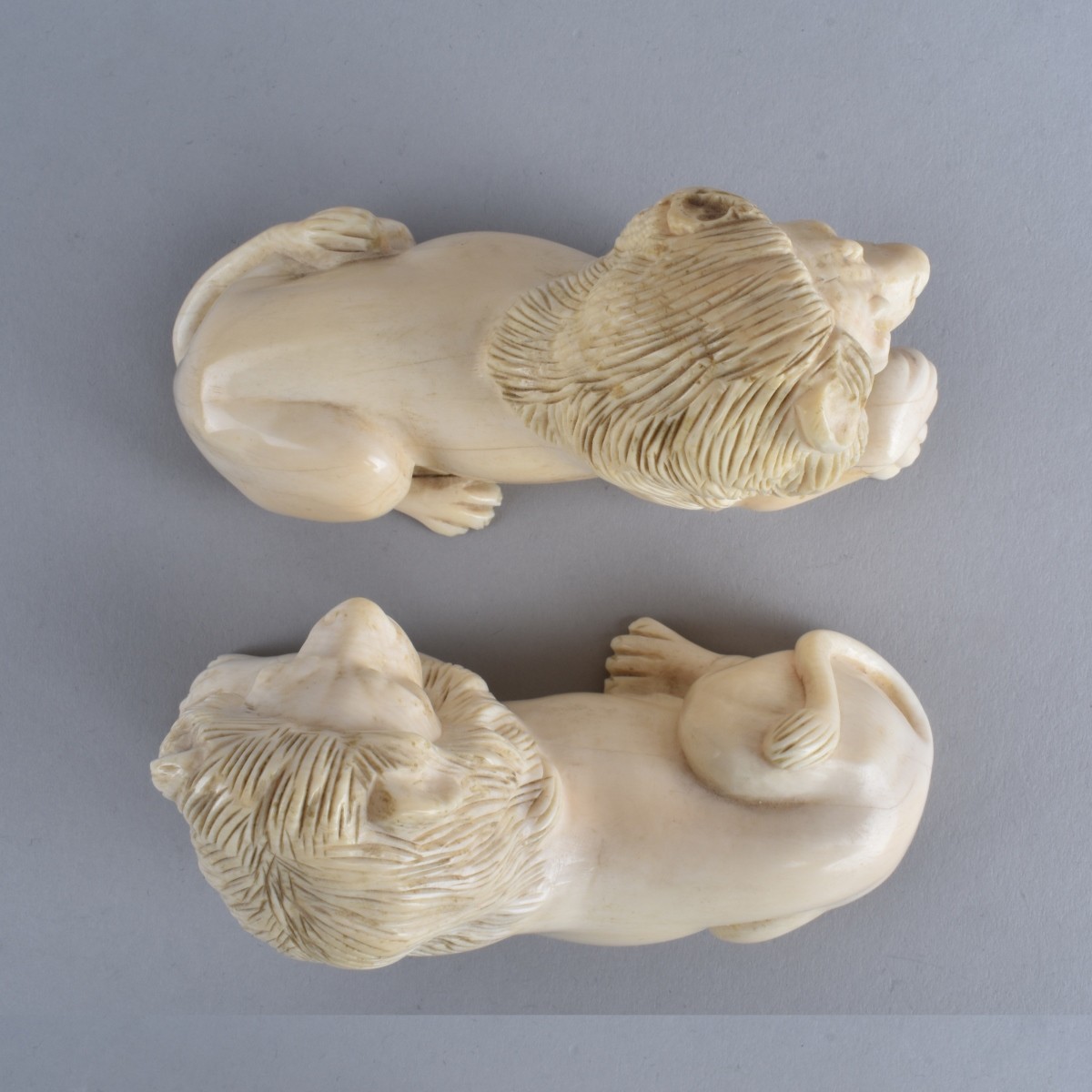 Carved Ivory Lions