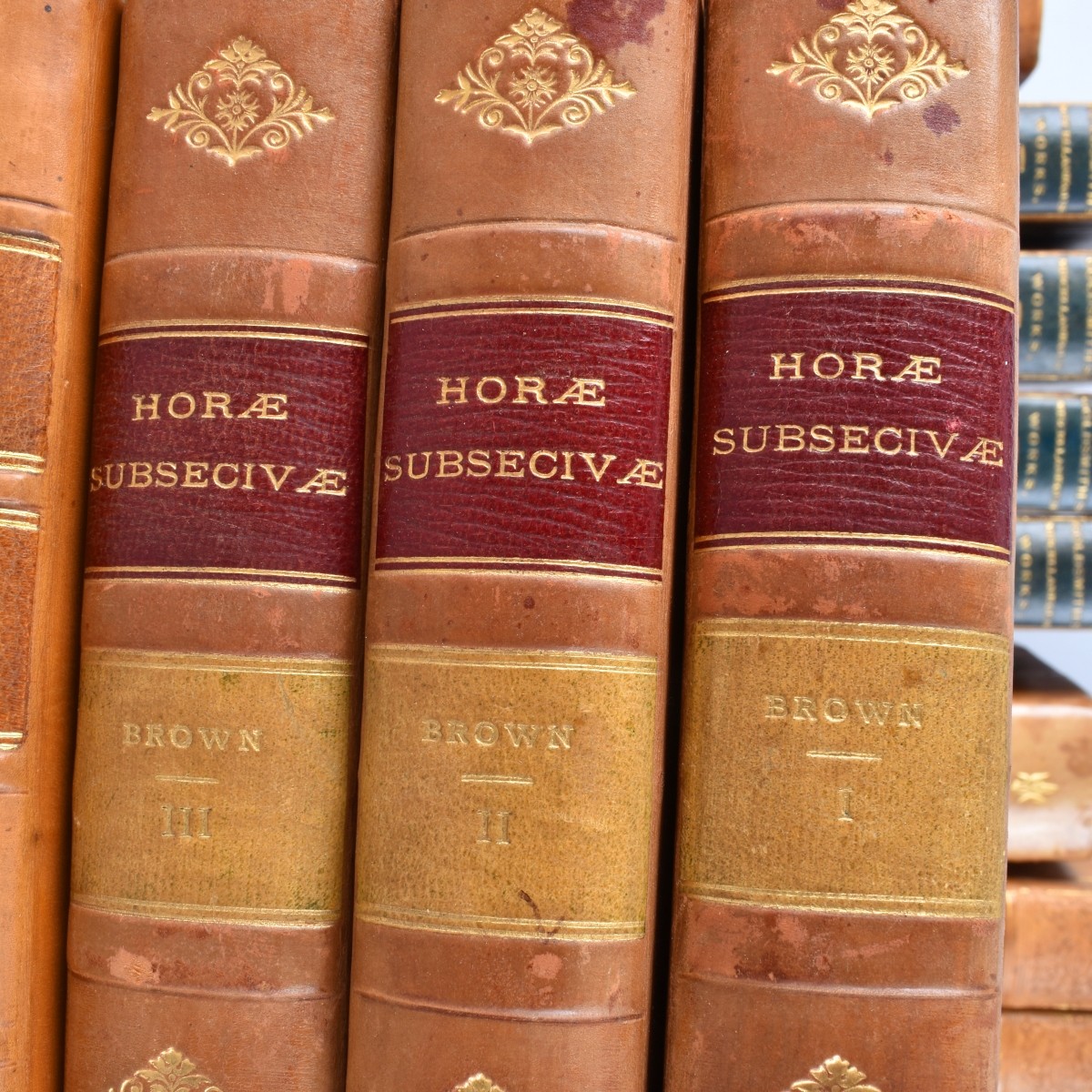 Collection Of Leather Bound Books