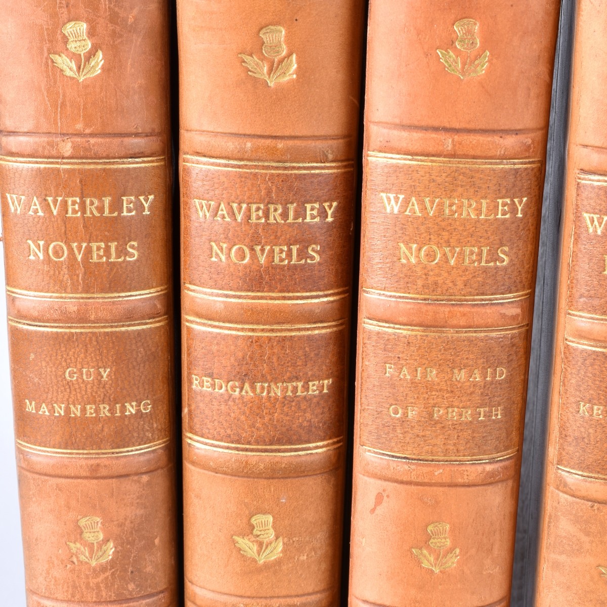 Collection Of Leather Bound Books