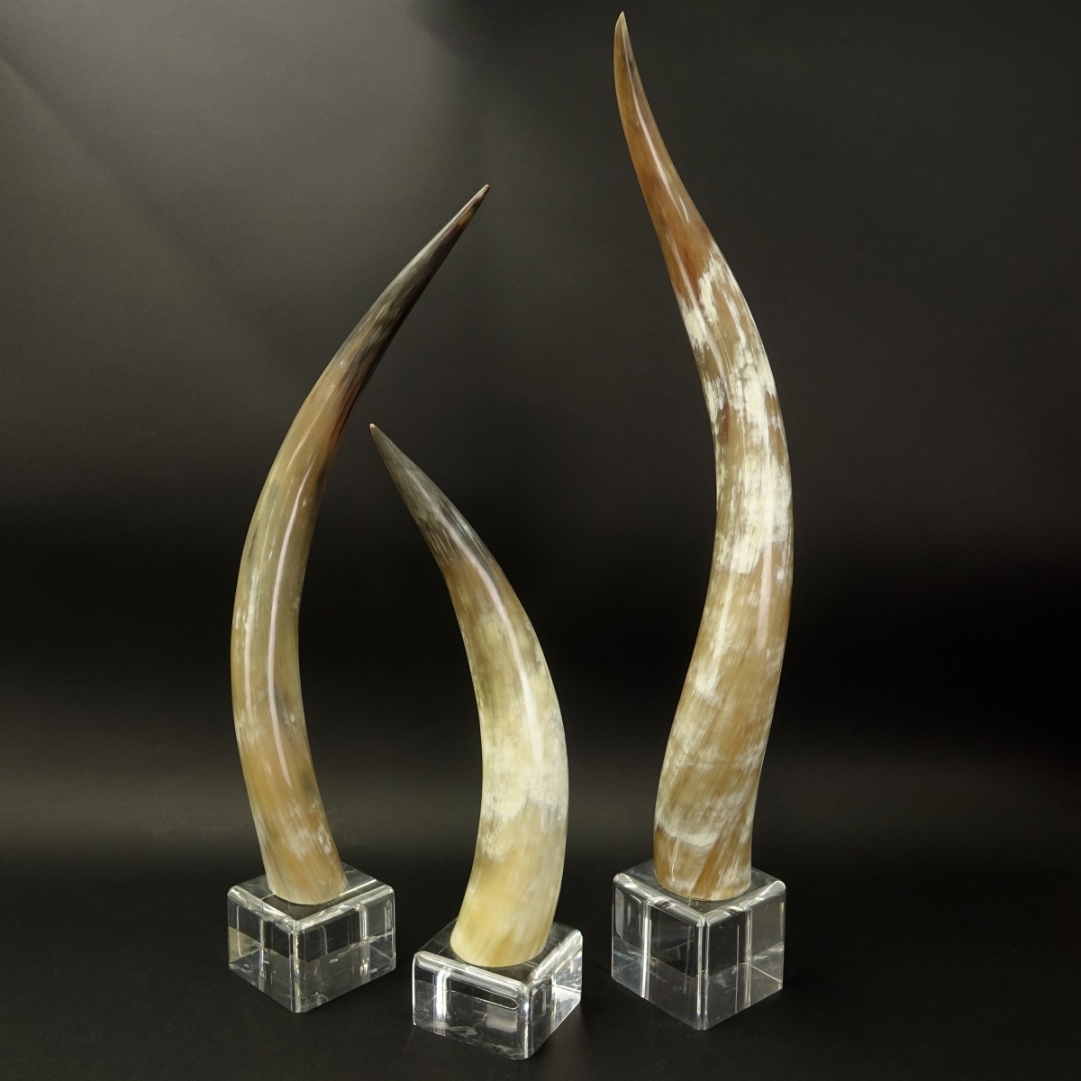 Three (3) Graduated Horns Mounted on Acrylic Base