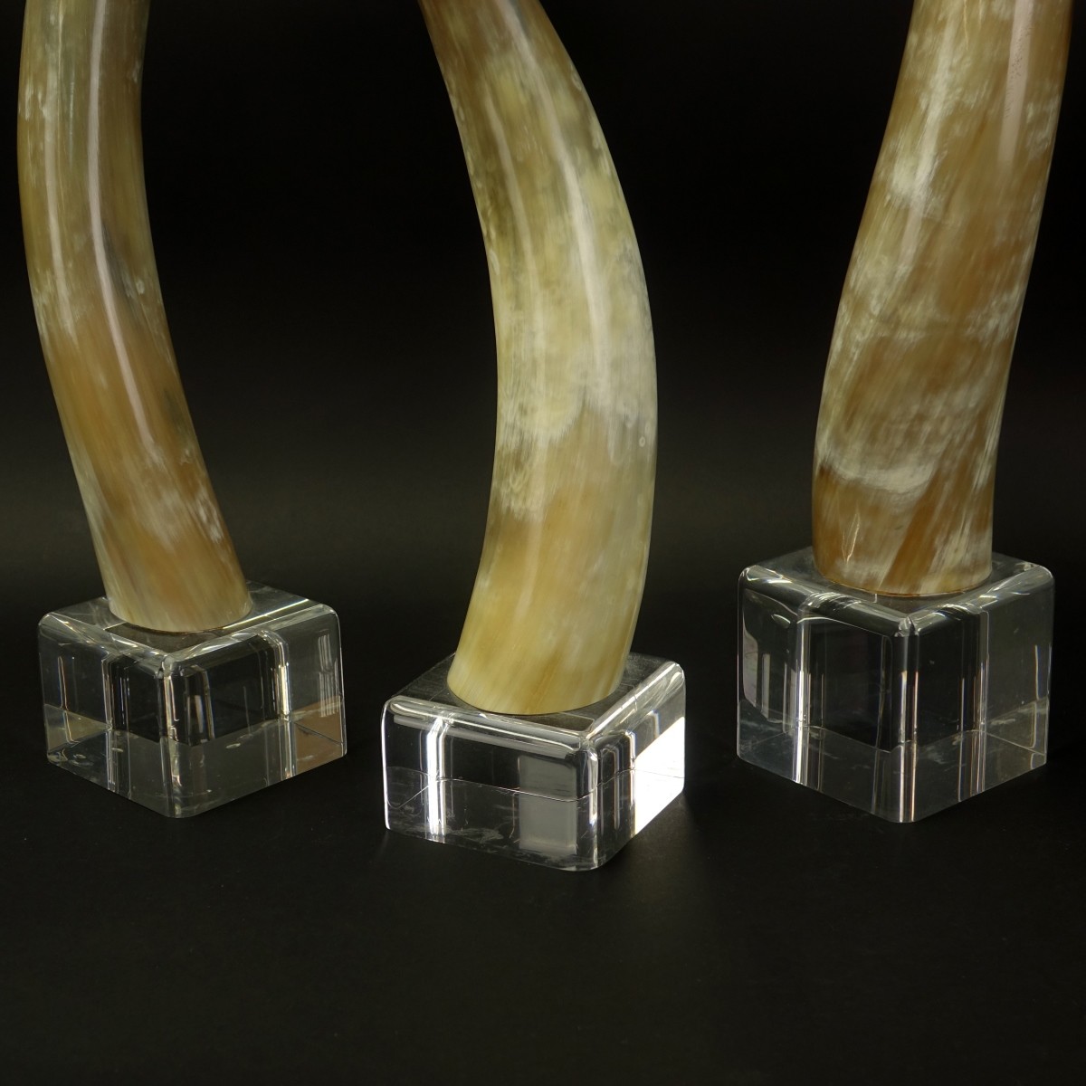 Three (3) Graduated Horns Mounted on Acrylic Base