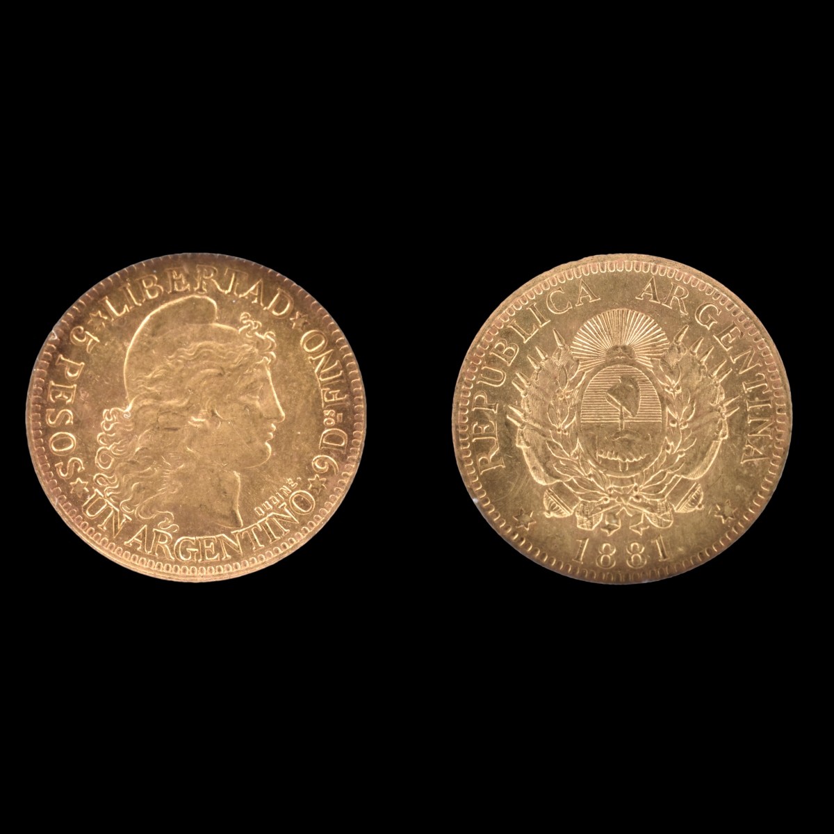1881 Republic of Argentina Gold 5 Pesos