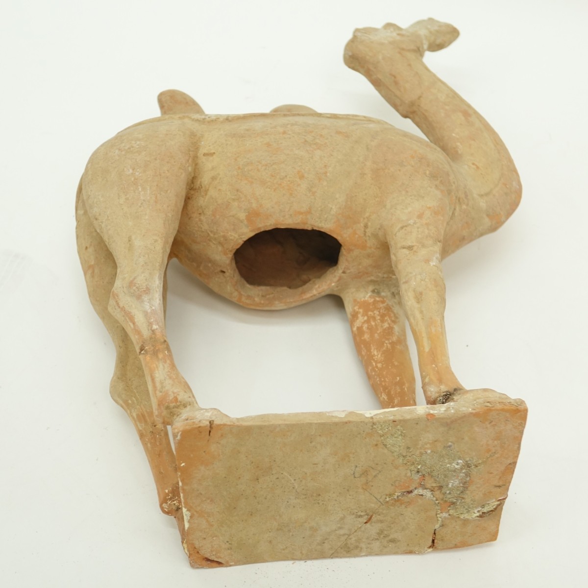 Chinese Earthenware Camel
