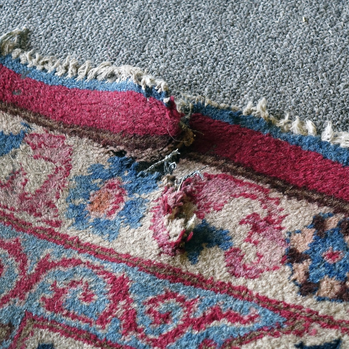 Persian Rug