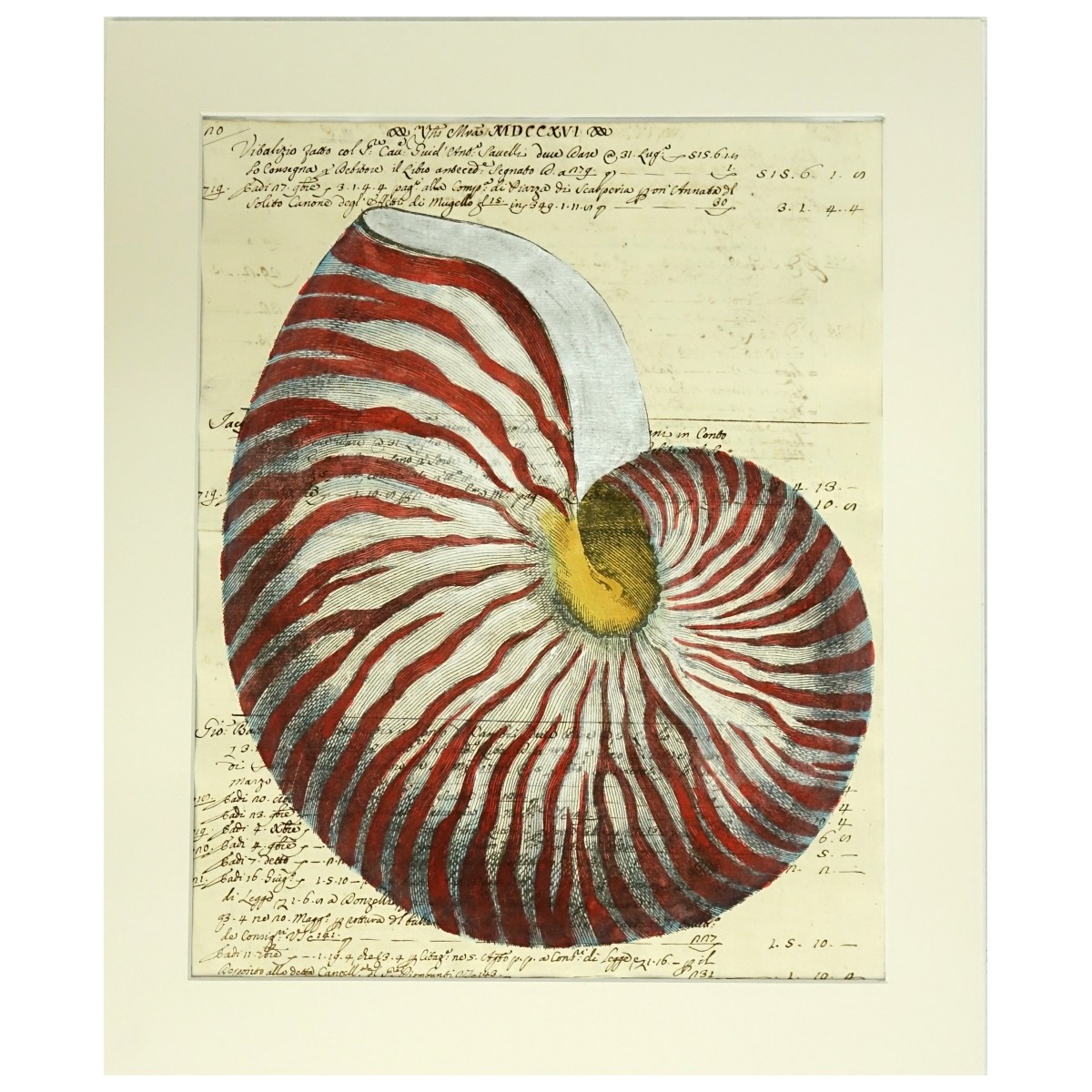 Hand Colored Engraving On 18th C Manuscript