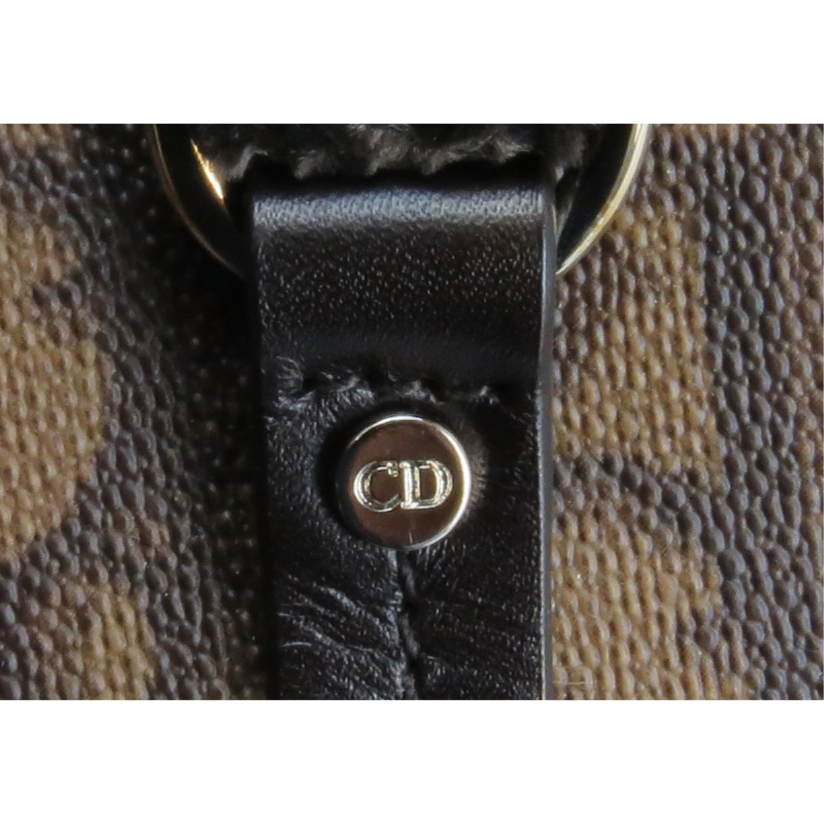 Christian Dior Monogram Romantique Trotter Handbag