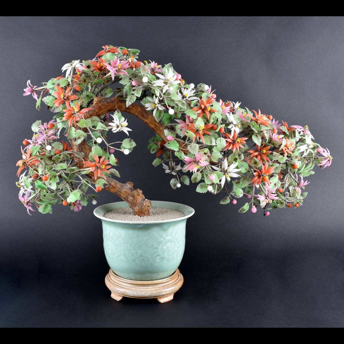 Chinese Jade Tree