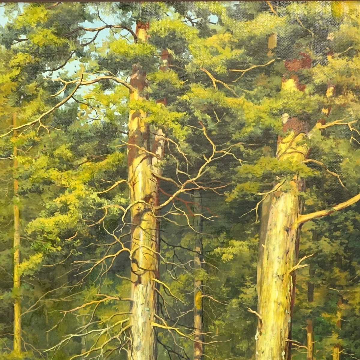 D. Abrosimov, Russian (20C) O/C Forest Landscape