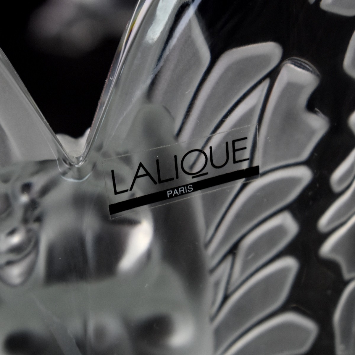 Lalique "Chrysalide" Vase