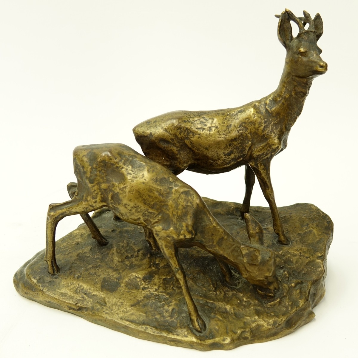 Muller Bronze Sculpture Young Deer