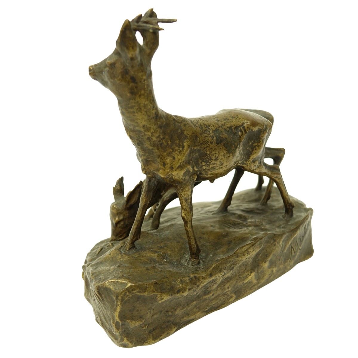 Muller Bronze Sculpture Young Deer