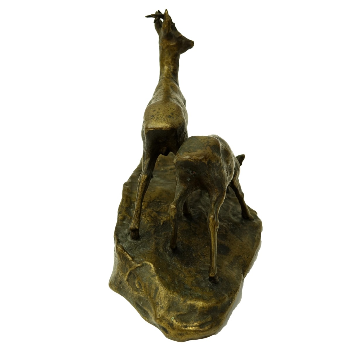 Muller Bronze Sculpture Young Deer