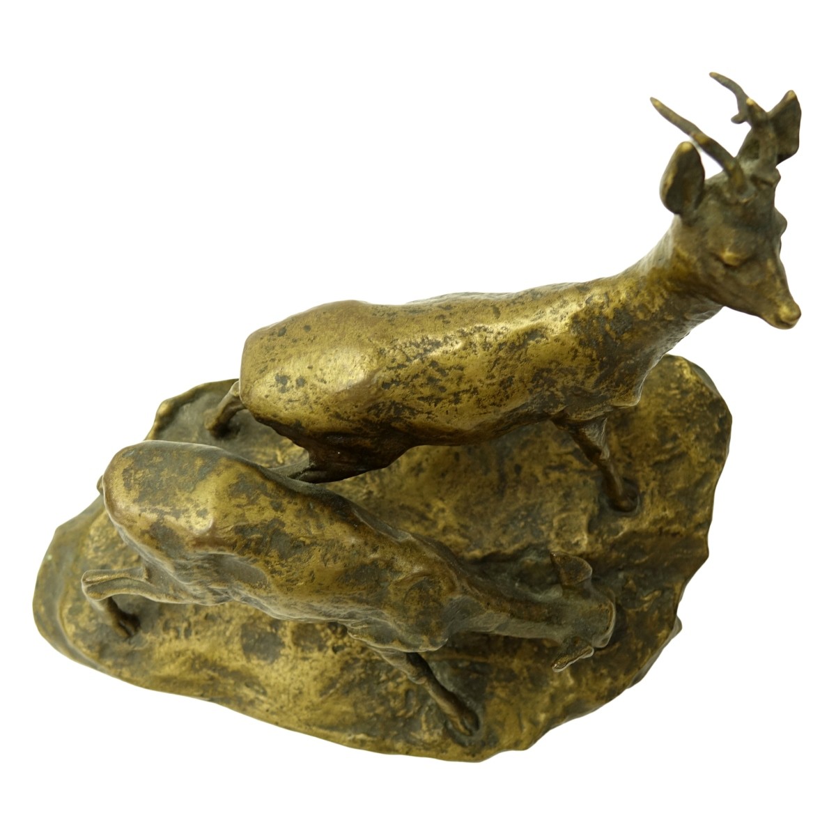 Muller Bronze Sculpture Young Deer