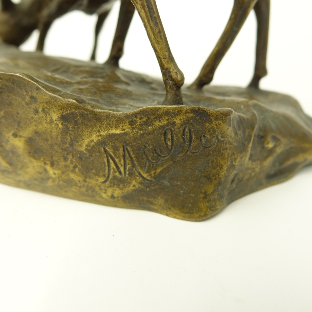 Muller Bronze Sculpture Young Deer