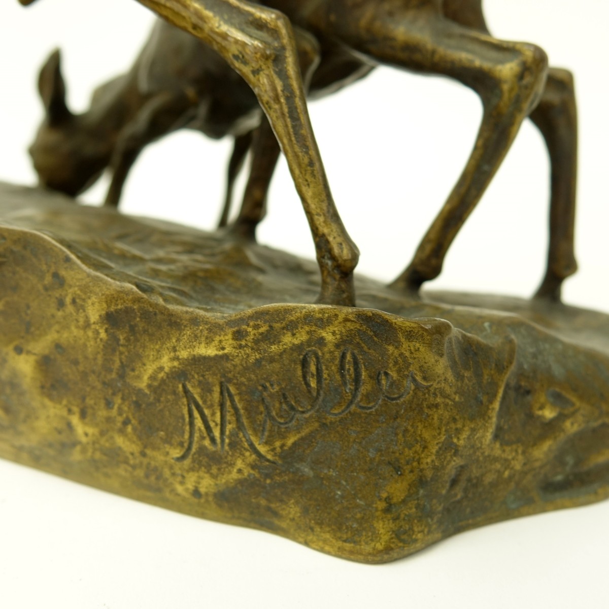 Muller Bronze Sculpture Young Deer