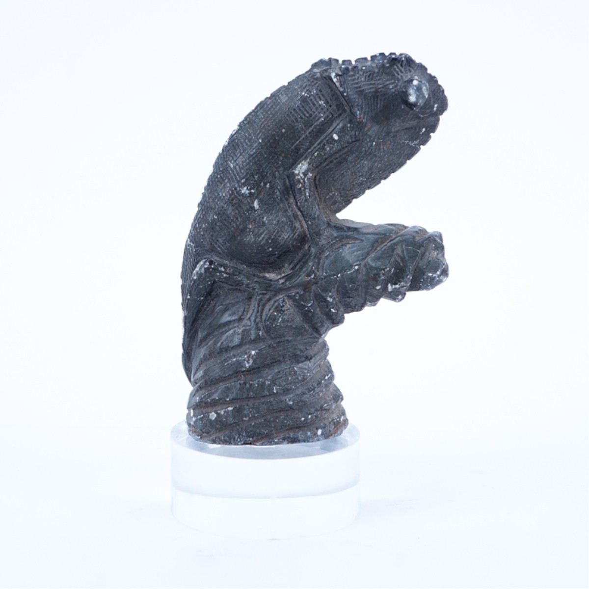 Ancient Stone Carving Chameleon