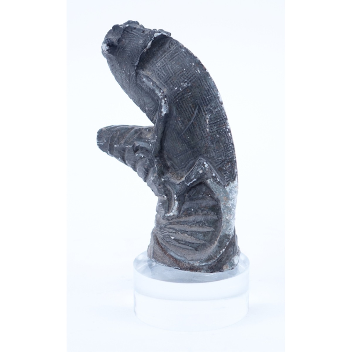 Ancient Stone Carving Chameleon