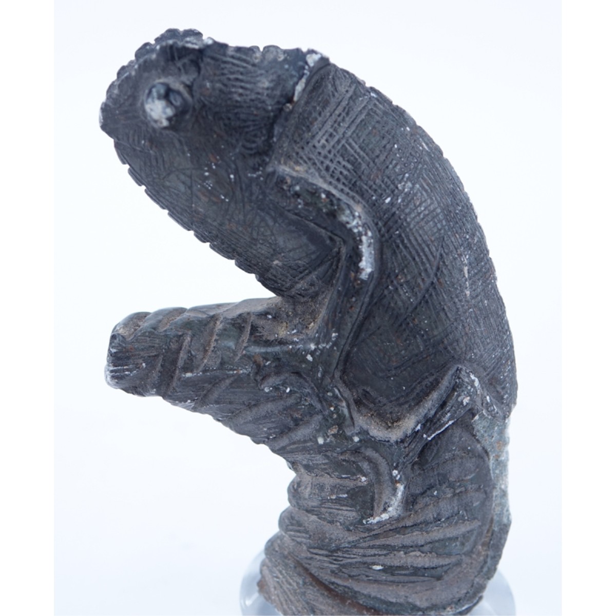 Ancient Stone Carving Chameleon