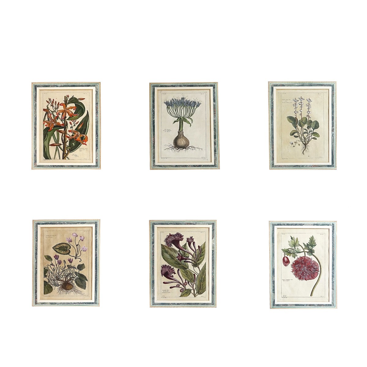 Six (6) 18th C. Hand Colored Botanical Engravings