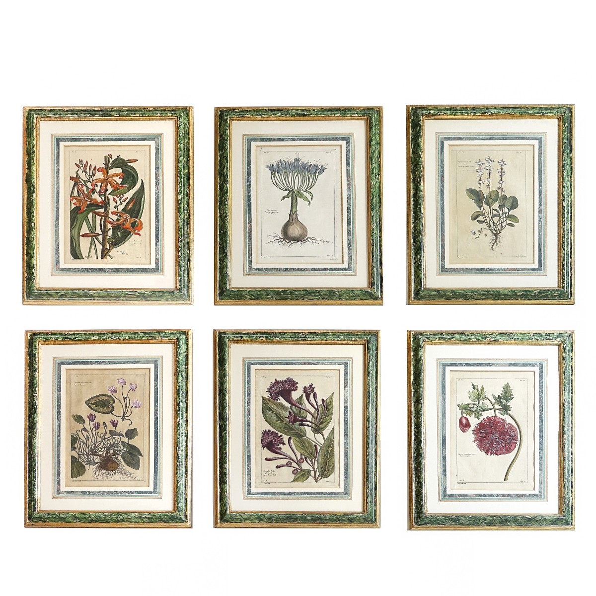 Six (6) 18th C. Hand Colored Botanical Engravings