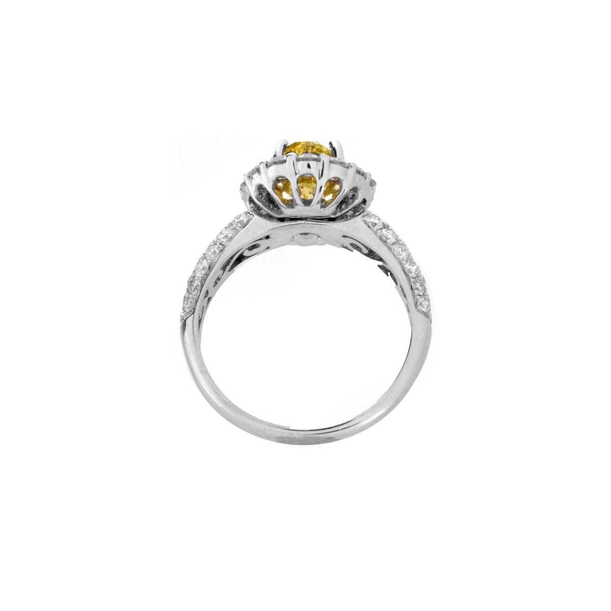 Canary Yellow Diamond and 18K Ring