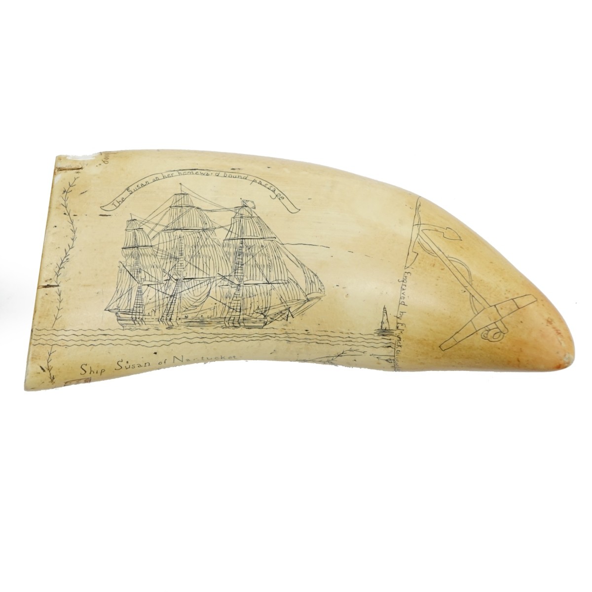 Two (2) Scrimshaw Tooth Carvings