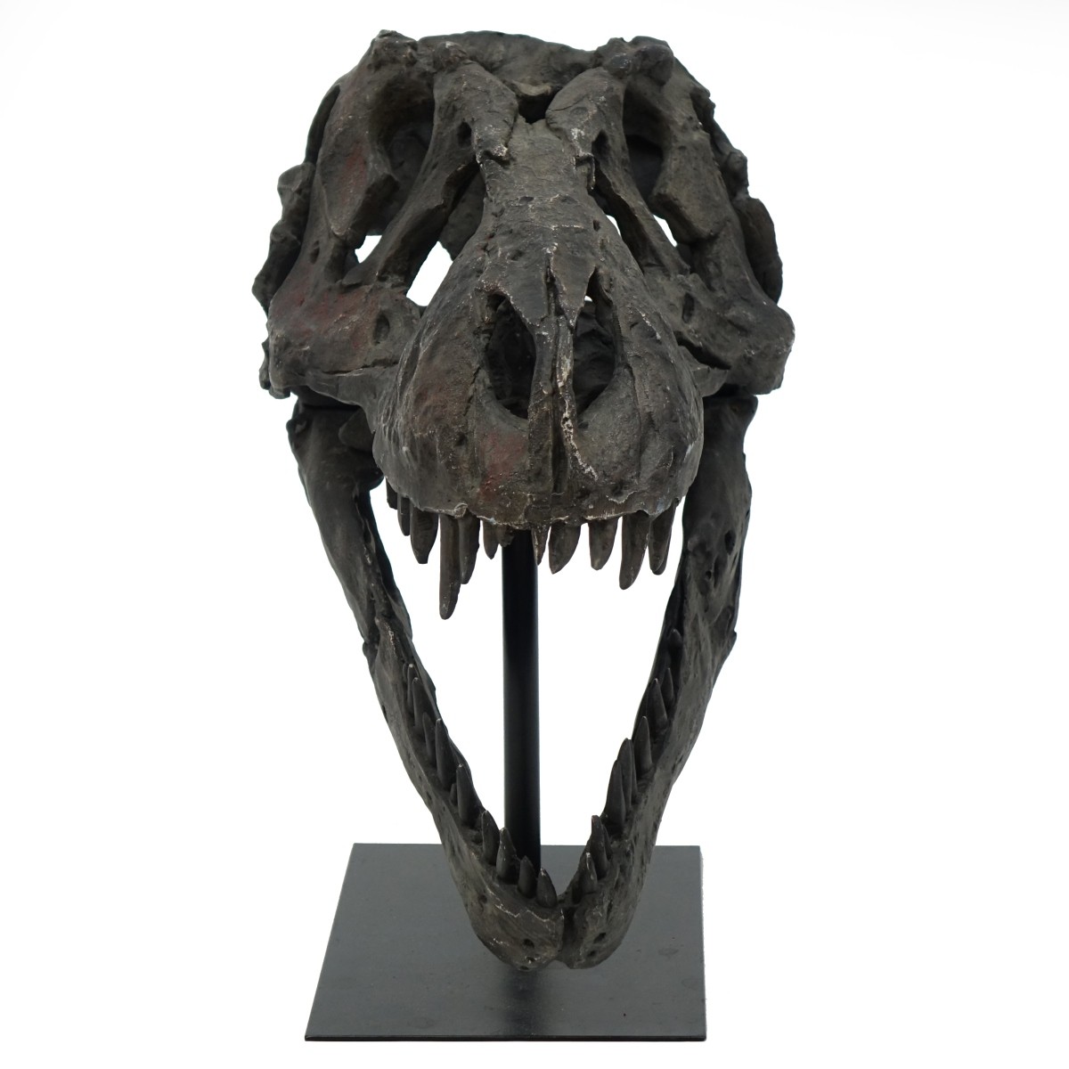 Vintage Plaster Dinosaur Head