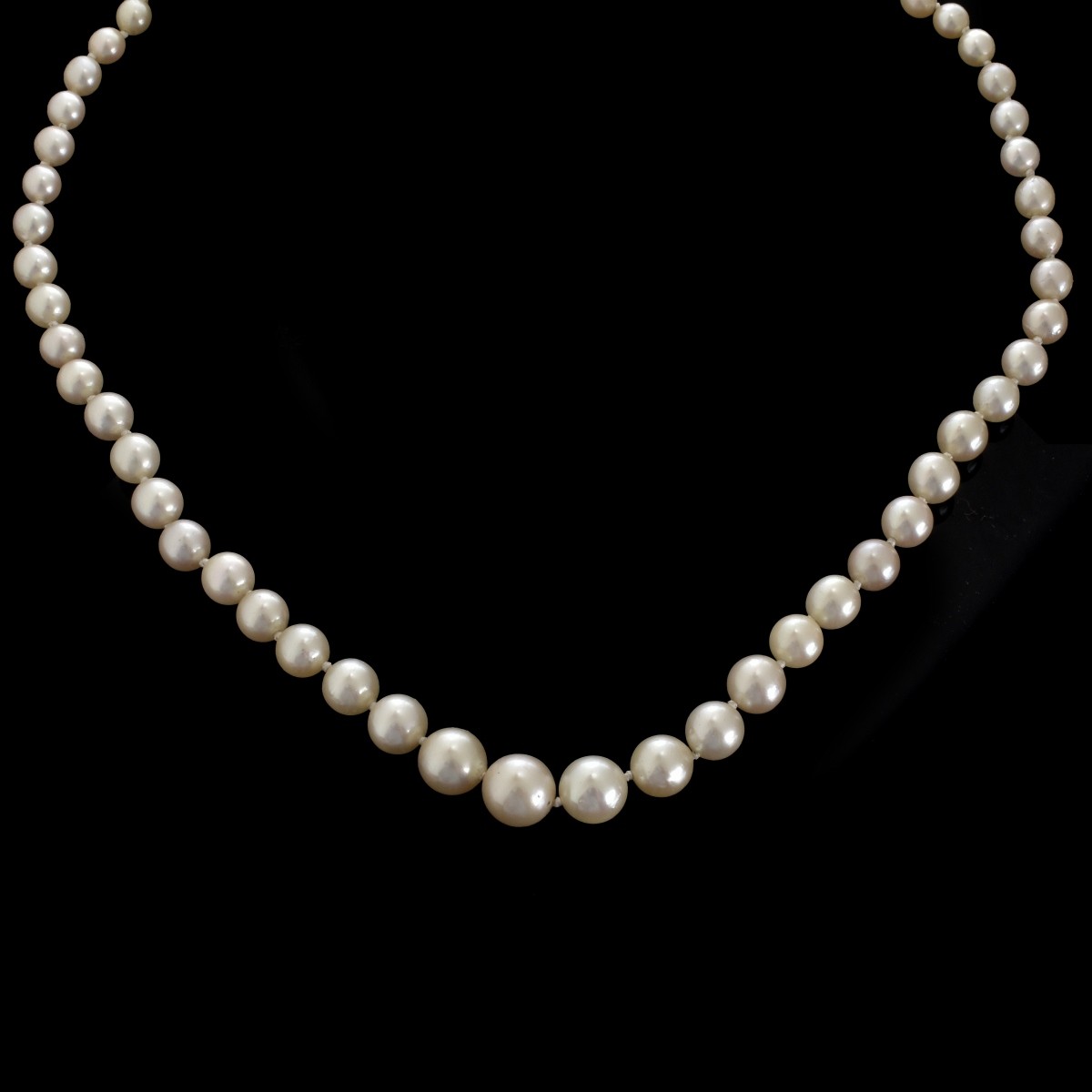 Pearl Necklace