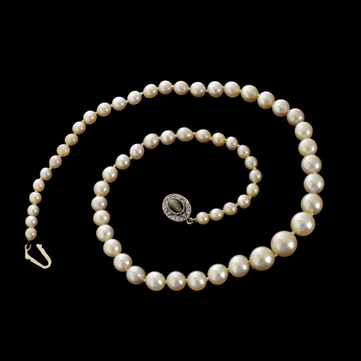 Pearl Necklace