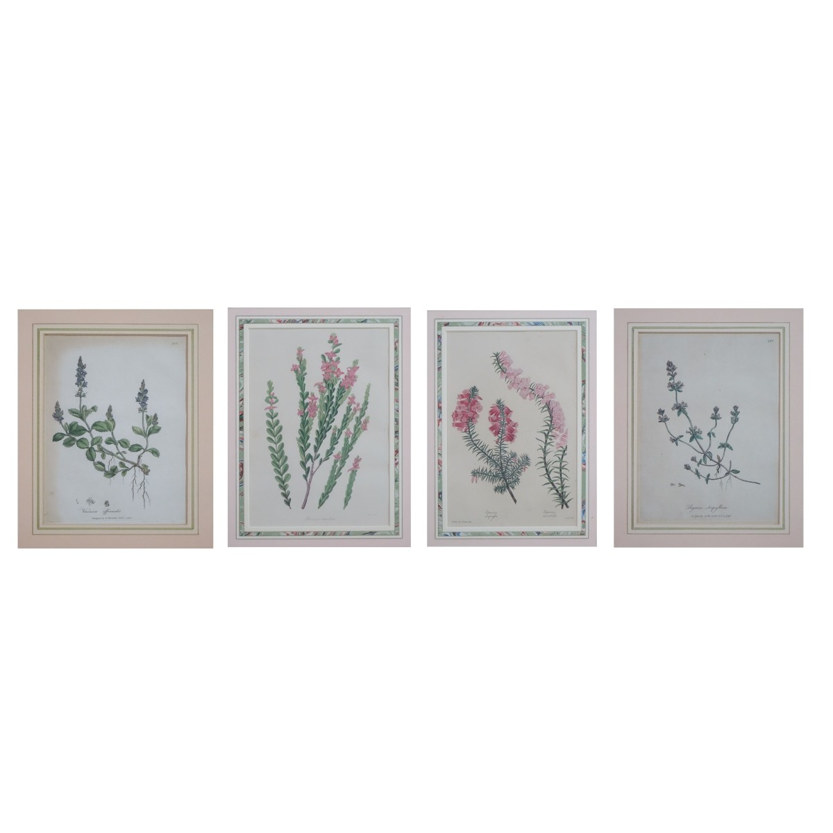 Four Botanical Prints