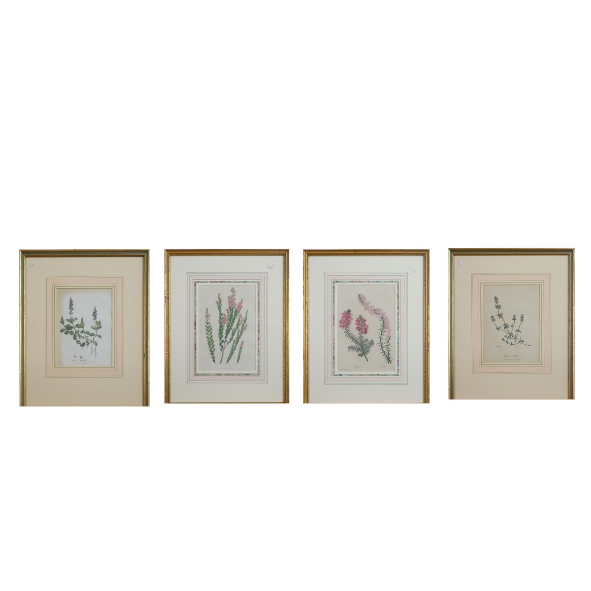 Four Botanical Prints