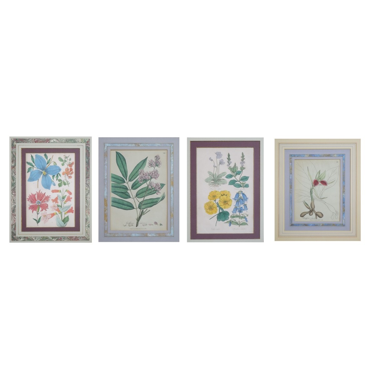 Four Botanical Prints