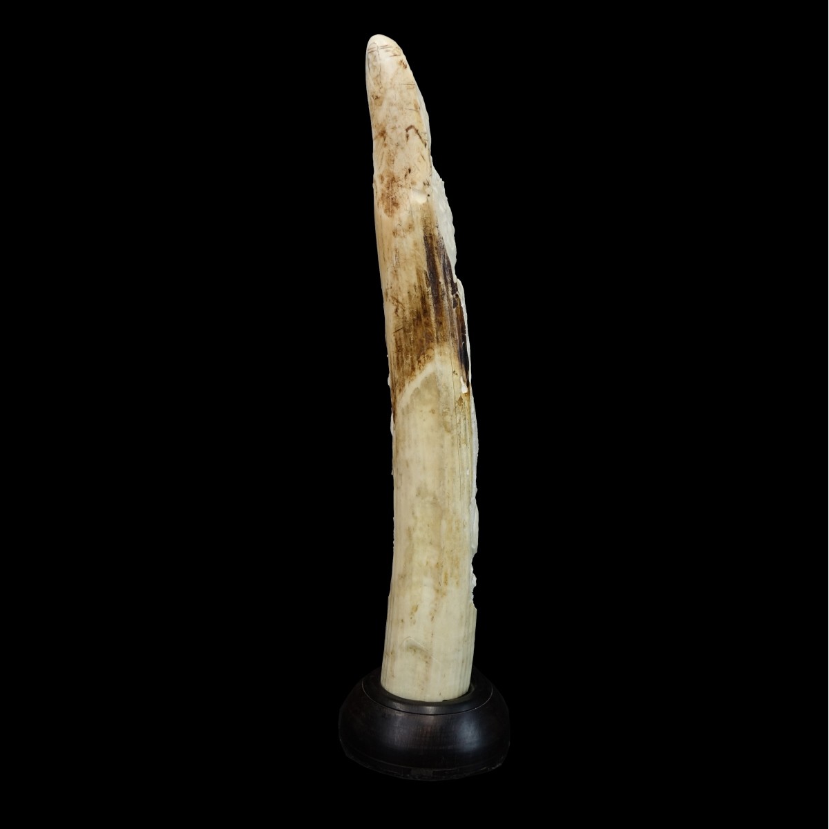Antique African Relief Tusk Carving